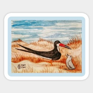 Black Skimmer and Chick Sticker